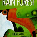 rain forest