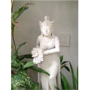 A trip to Bali, “Island of the Gods”