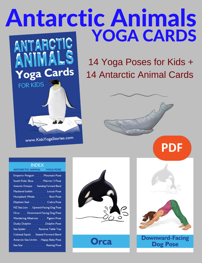 Antarctic Animals Yoga Cards for Kids PDF Download (English) | Kids Yoga Stories
