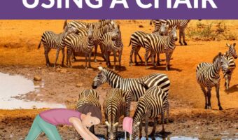 Safari Animals Yoga Poses Using a Chair for your classroom or homeschool | Kids Yoga Stories