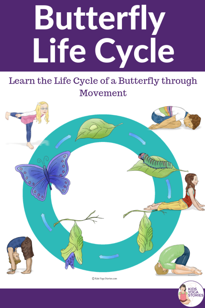 Butterfly life cycle. Learn the butterfly cycle through movement and yoga | Kids Yoga Stories