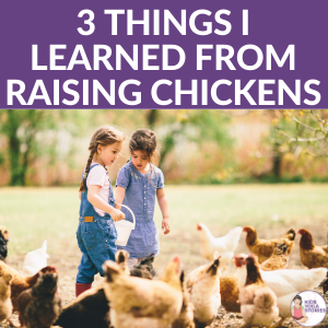 Keep Calm: 3 Things I Learned from Raising Chickens