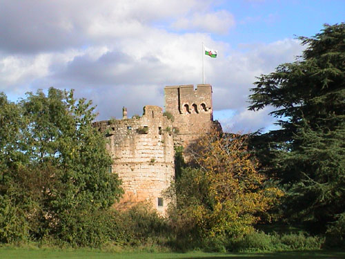 Caldicot castle