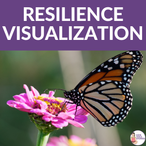 Resilience Guided Visualization: Be Resilient in our Thoughts…