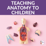 Teaching anatomy to kids | Kids Yoga Stories