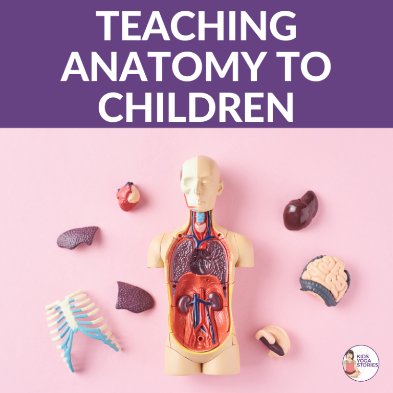 Teaching Anatomy to Children in a Fun and Empowering Way