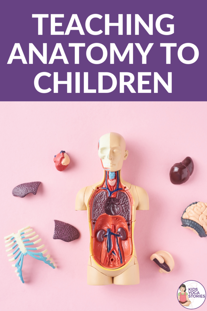 Teaching anatomy to children in a fun and empowering way | Kids Yoga Stories
