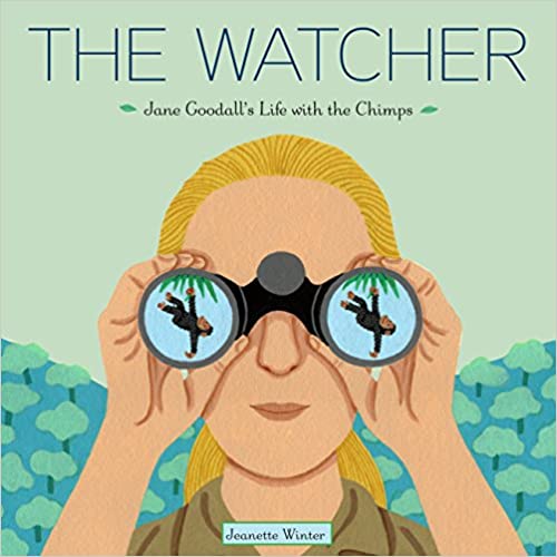 The Watcher 